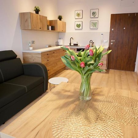 Apartament Na Piernikowym Z Miejscem Postojowym Stary Toruń Dış mekan fotoğraf